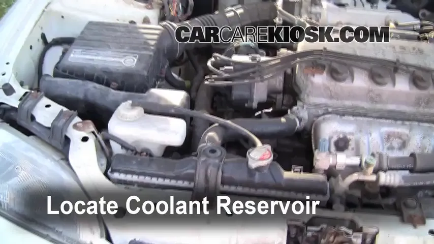 1995 Honda Civic EX 1.6L 4 Cyl. Coupe (2 Door) Coolant (Antifreeze)